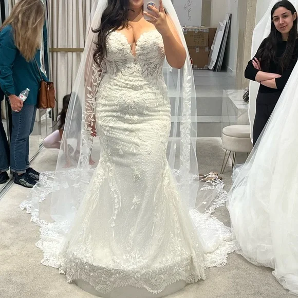 Pronovias Aethra Wedding Dress